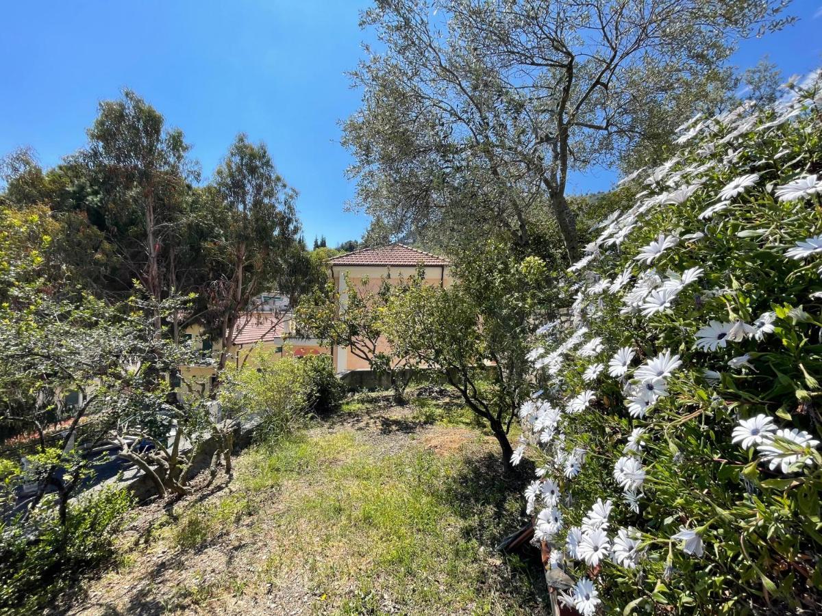 Holiday Rooms La Campagnetta Alassio Bagian luar foto